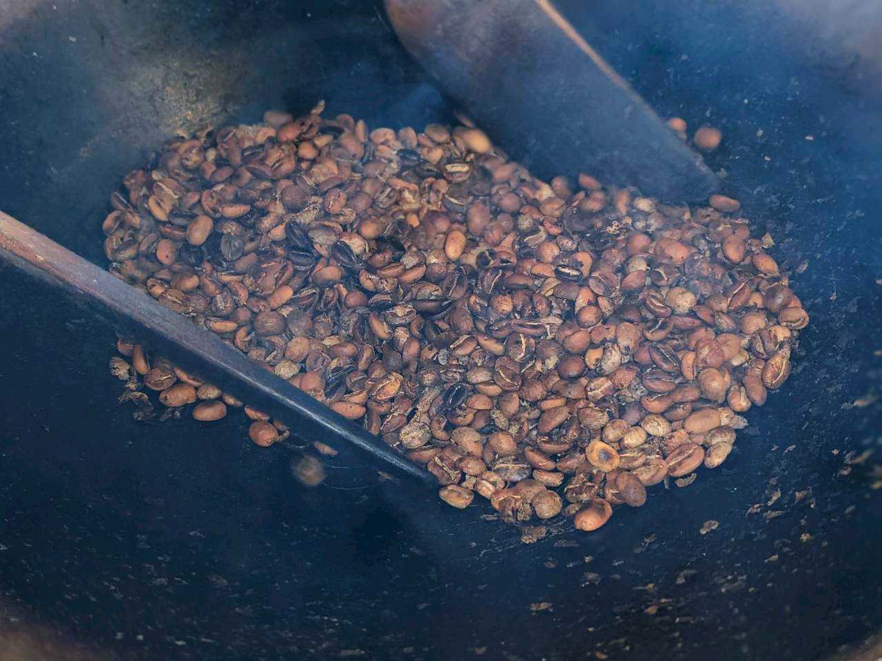 LINE_ALBUM_Chiang Rai Doi Chang Coffee Roasting _ Sunset Tou_260121_13