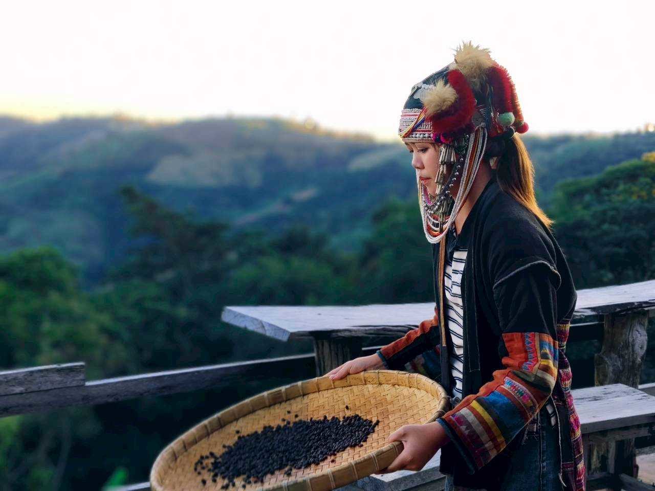 LINE_ALBUM_Chiang Rai Doi Chang Coffee Roasting _ Sunset Tou_260121_8