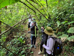 From Chiang Rai : The Adventure of Trekking & Bamboo Cooking