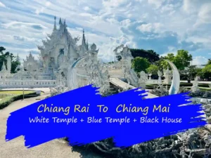 Chiang Rai : Private Transfer to Chiang Mai with Temples Visit