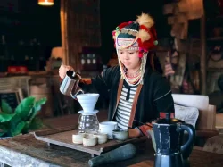 doi-chang-coffee-chiang-rai-moongtour